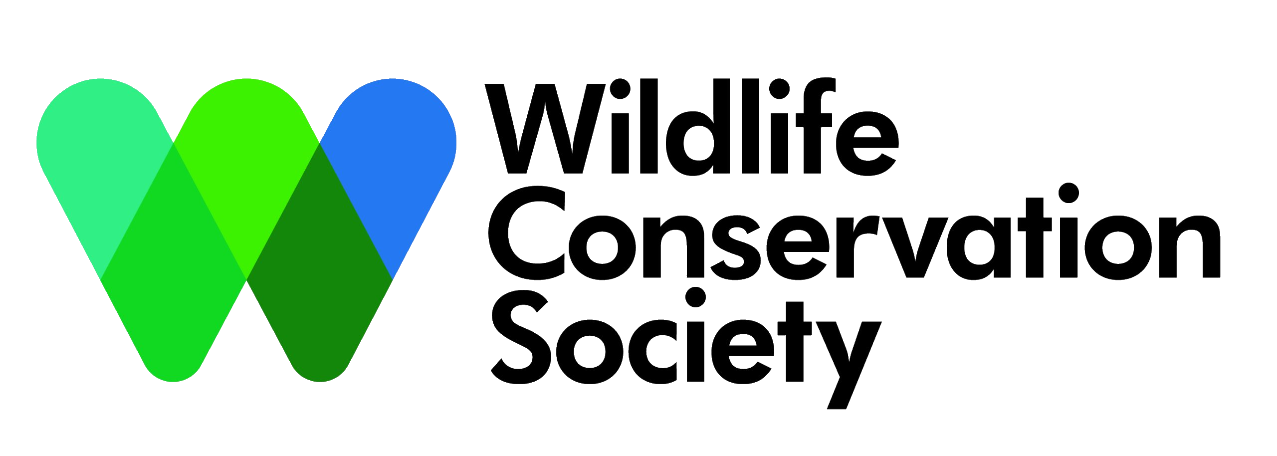 wcs_logotype_0-scaled-1